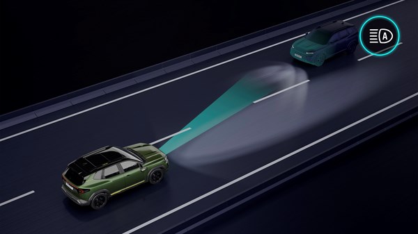 automatic high/low beam - Renault Duster